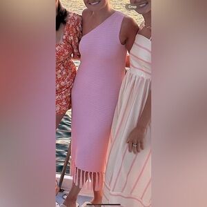 Petal & Pup Blush Knit Sweater dress